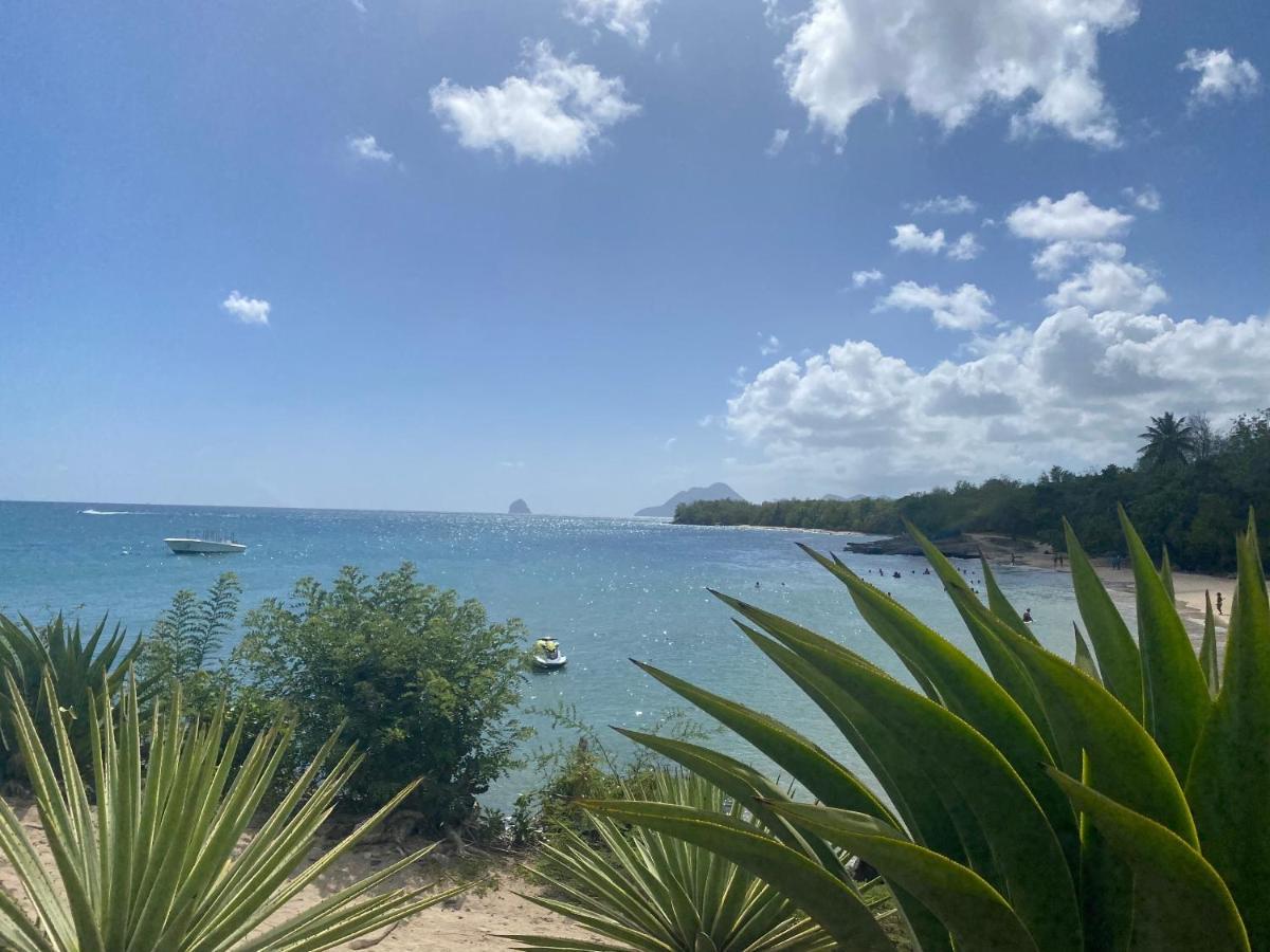 Studio Rdc La Desirade Martinique Acces Direct Plage Sainte-Luce Exterior foto