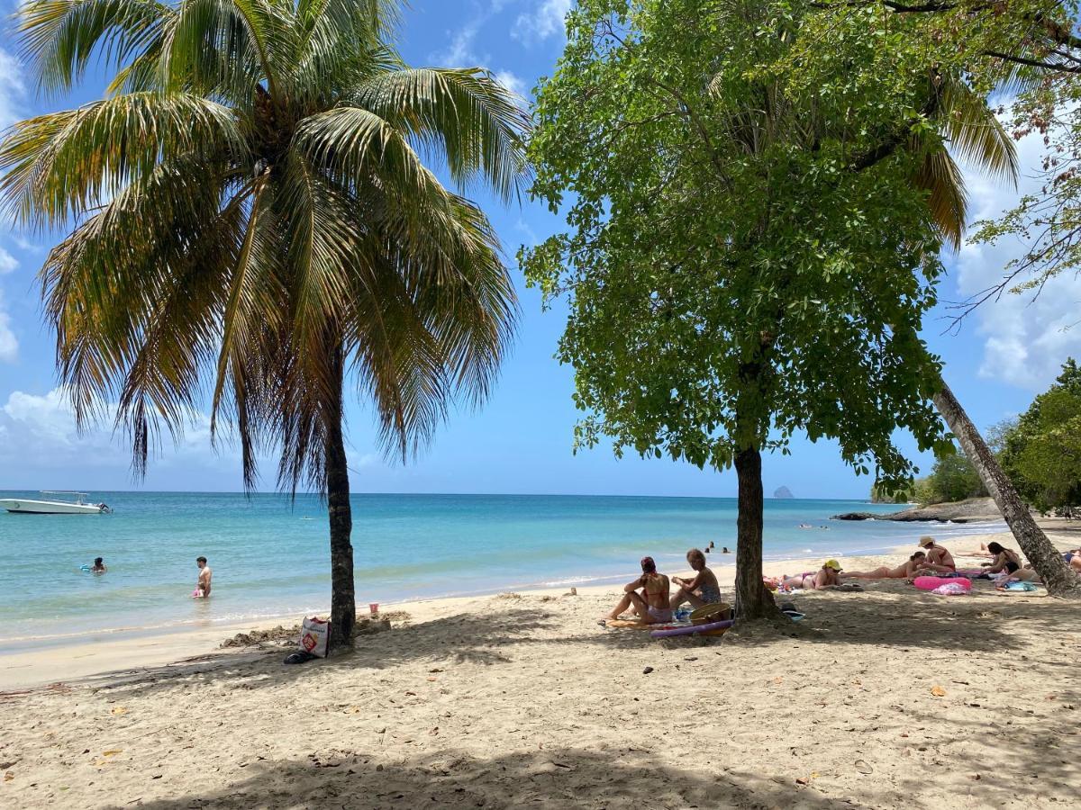 Studio Rdc La Desirade Martinique Acces Direct Plage Sainte-Luce Exterior foto